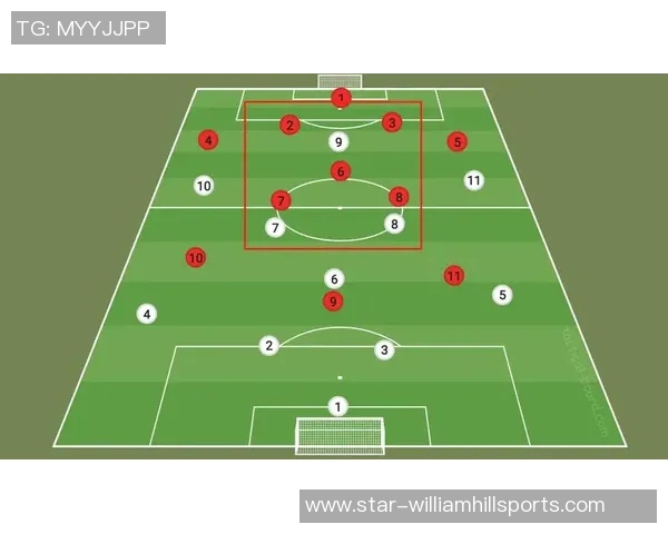 武汉排球队盯防策略解析与战术运用的深度剖析实时数据